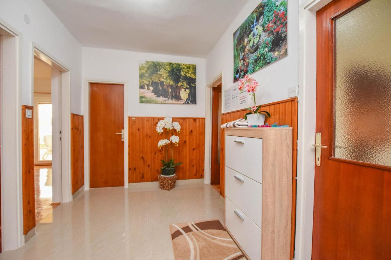 Apartments Dandelion Biograd Na Moru Εξωτερικό φωτογραφία